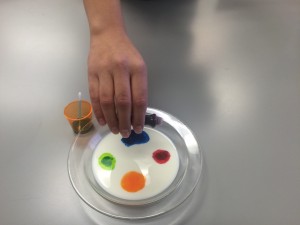 Drip your food coloring into the bowl of milk